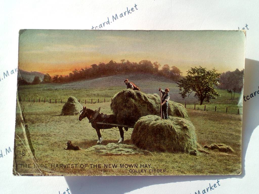 /UK/UK_profession_19xx_THE FREE HARVEST OF THE NEW MOWN HAY color.jpg